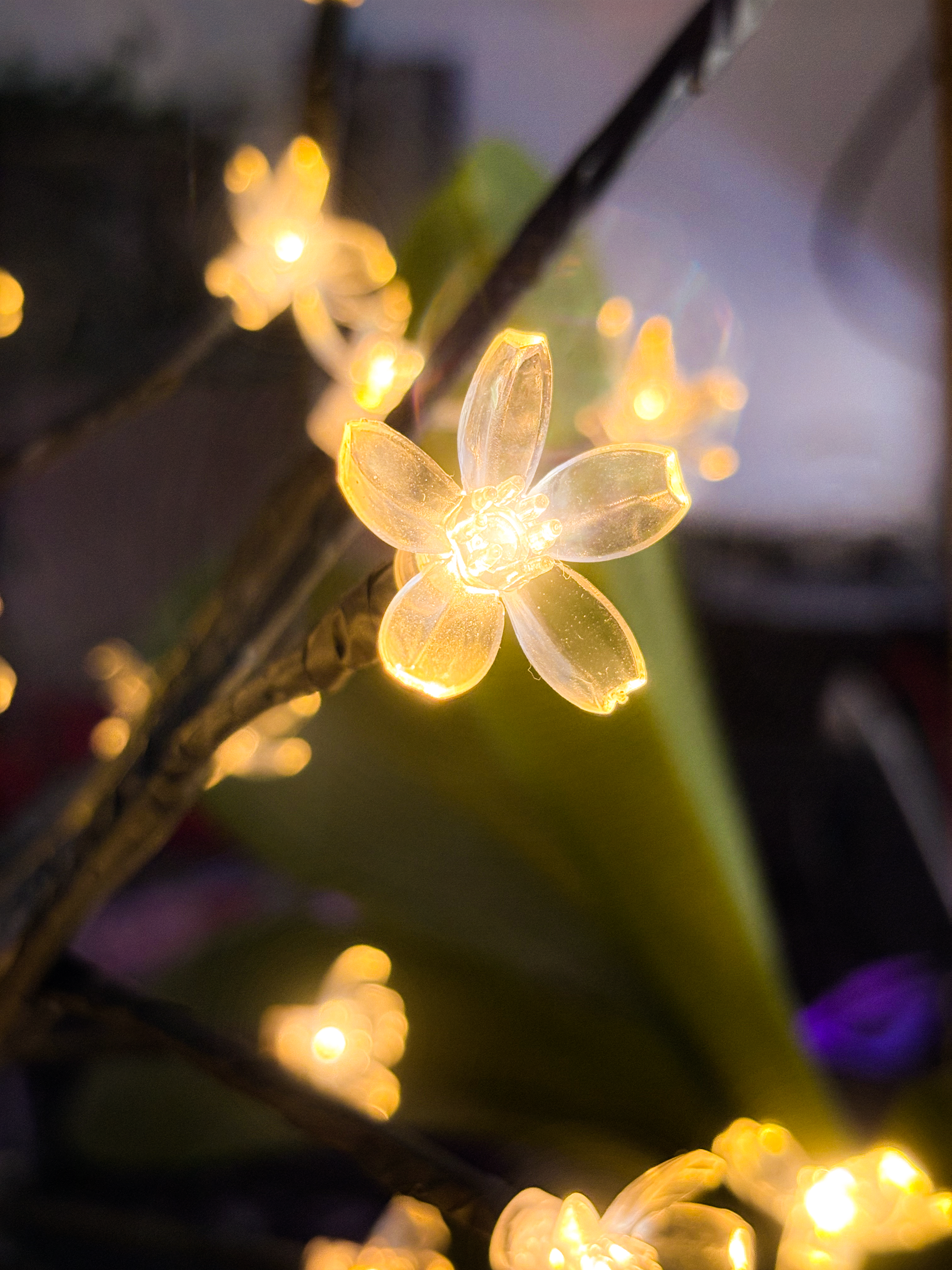 Arbora Bonsai Tree LED