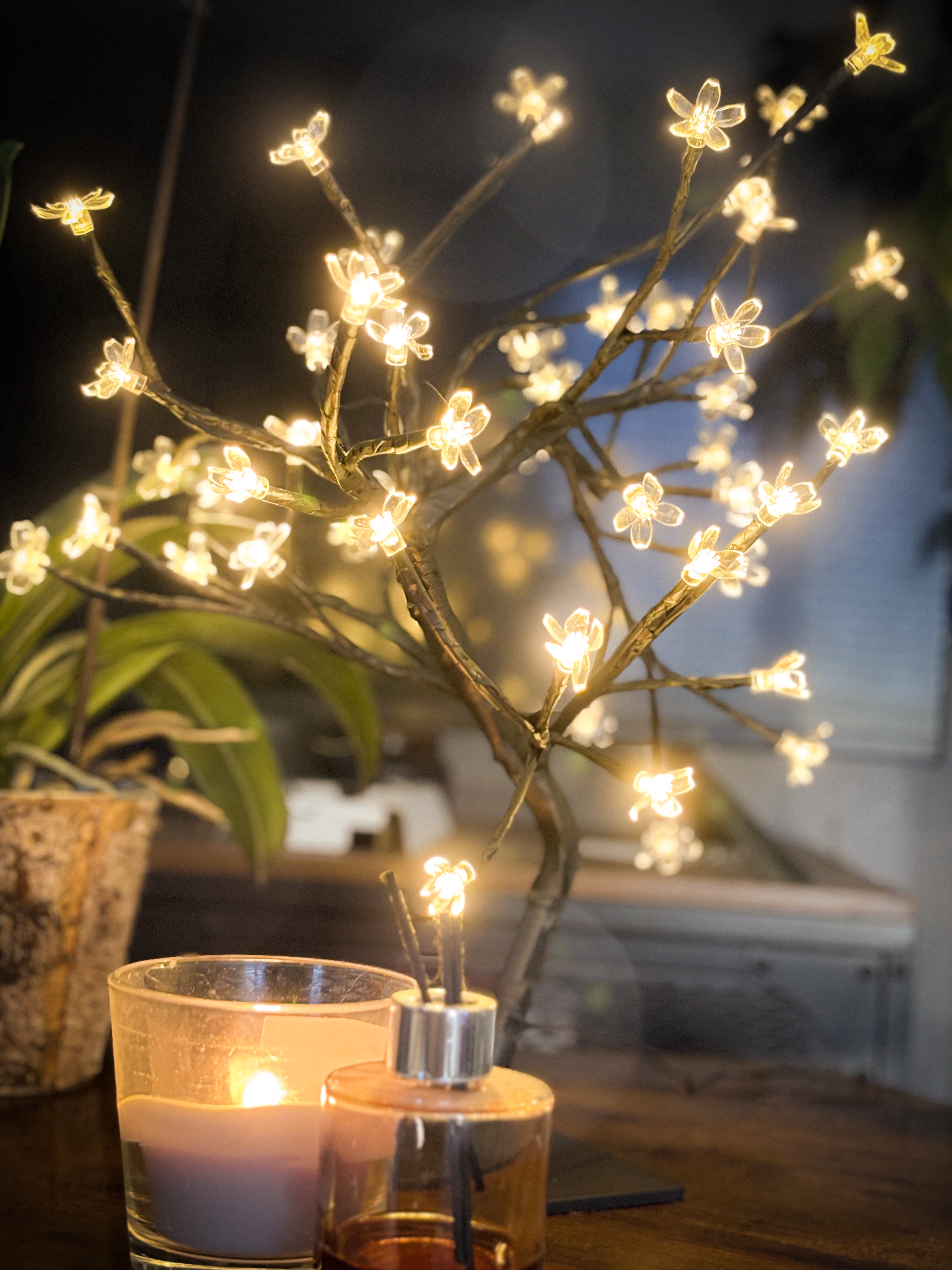 Arbora Bonsai Tree LED