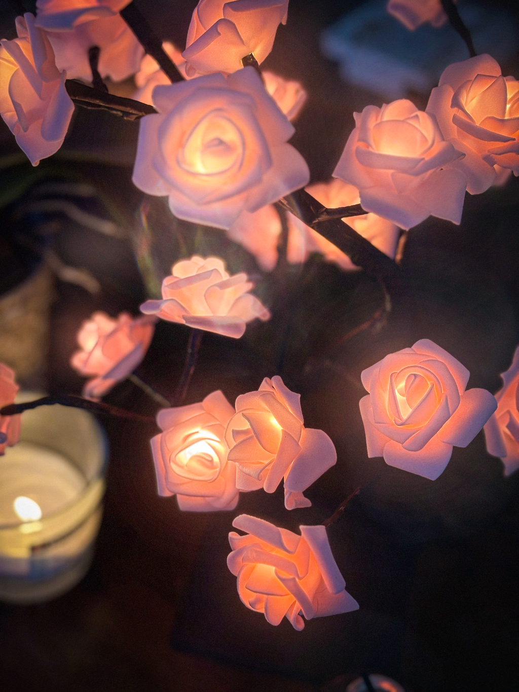 Arbora Eternal Rose LED