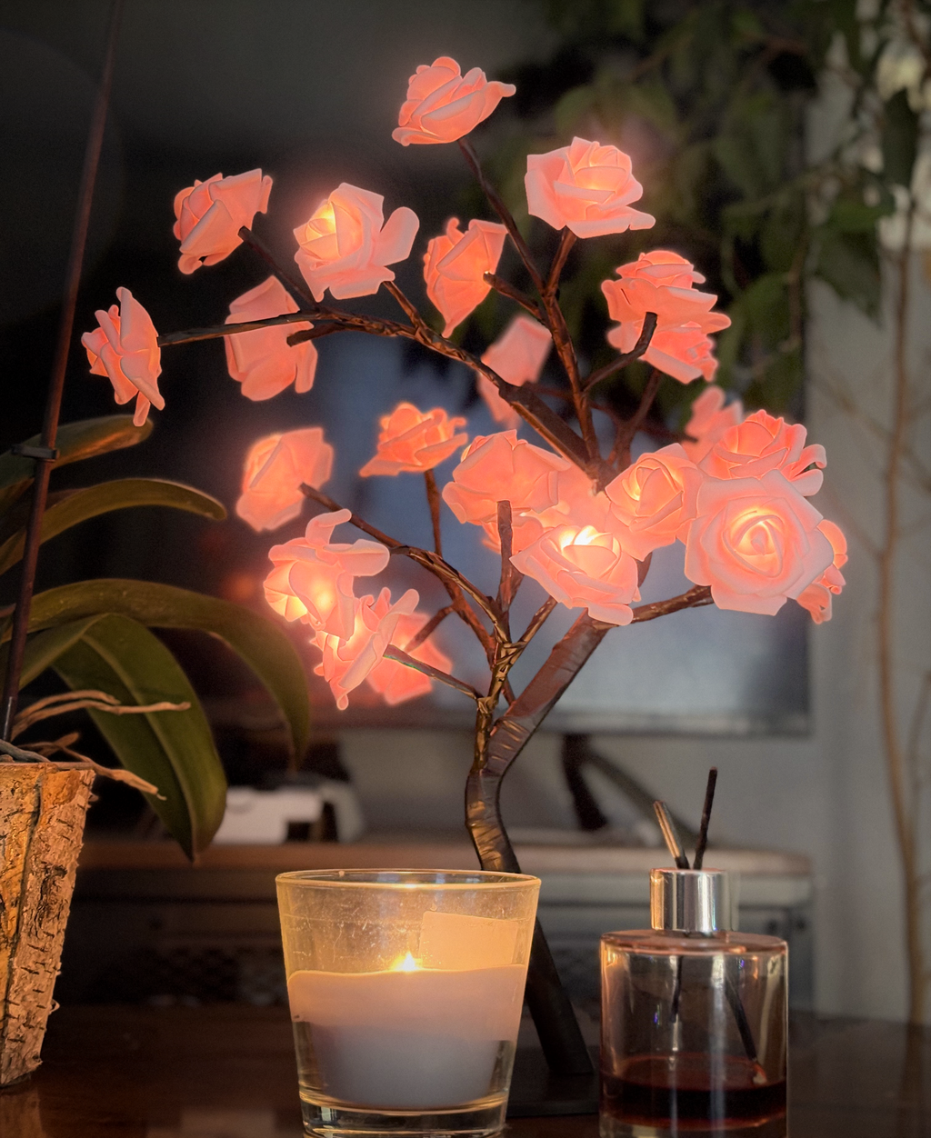 Arbora Eternal Rose LED