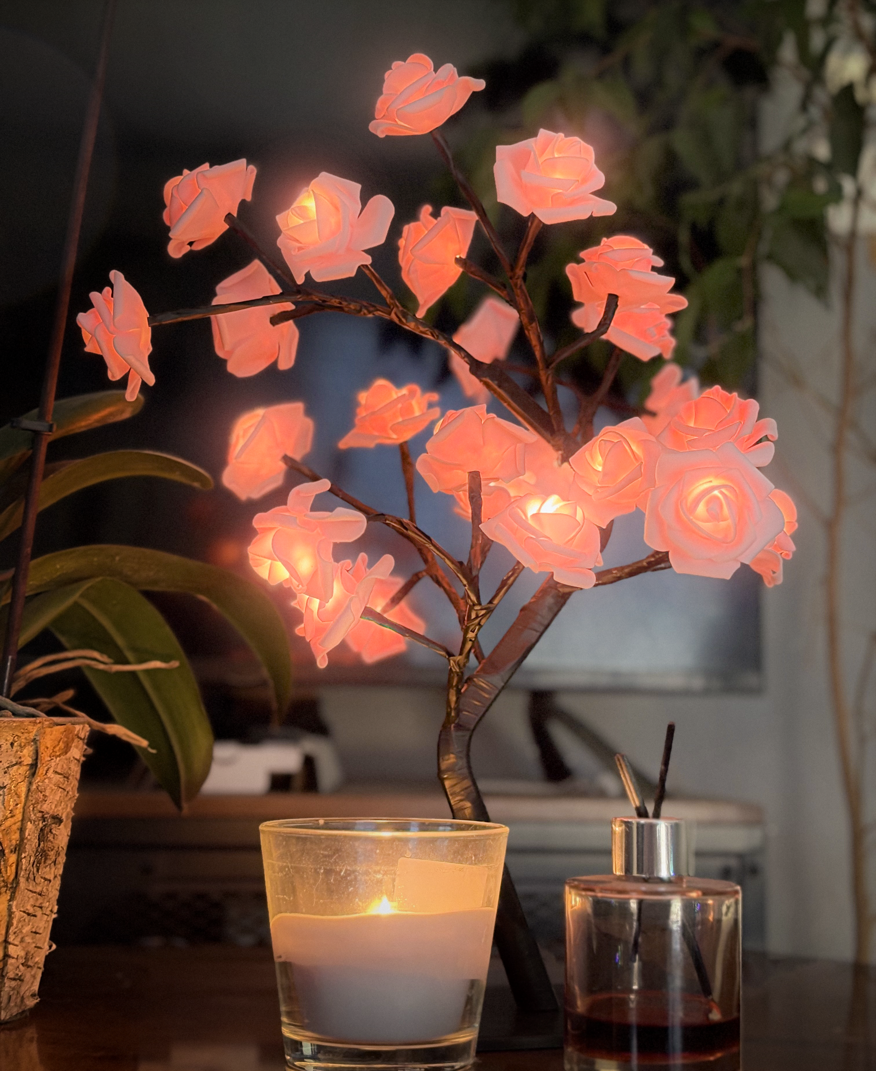 Arbora Eternal Rose LED